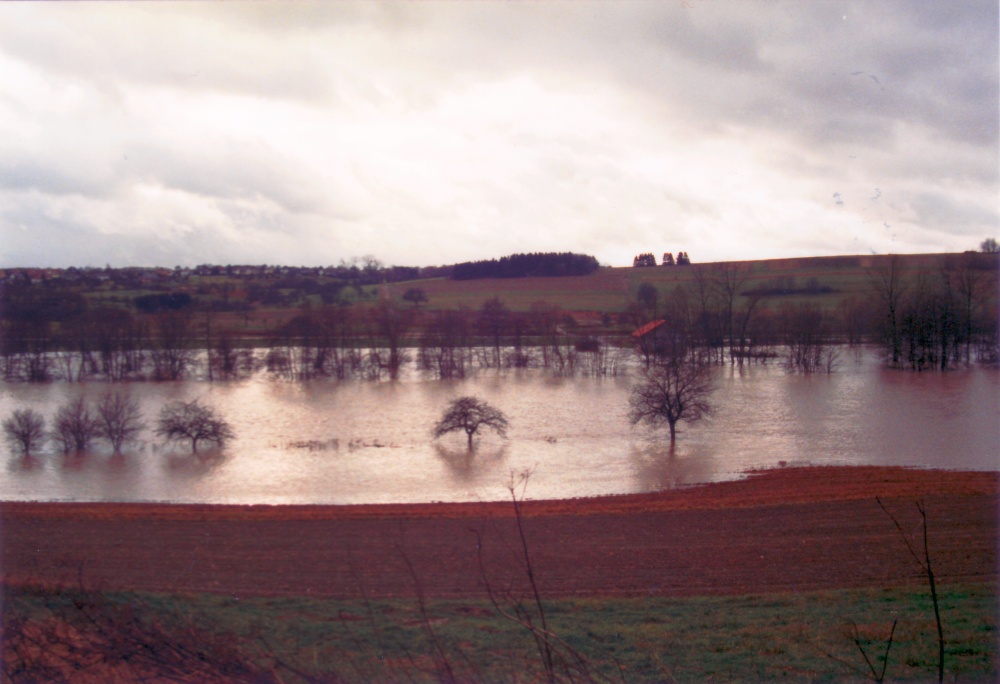 Hochwasser Bliesgau 1993