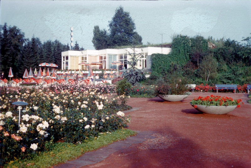 Blütenpracht 1962-63