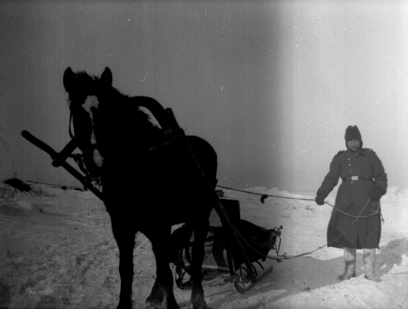 Pferdeschlitten Mittelrussland Winter 1941