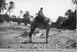Auf einem Dromedar in der Wüste Sahara 1931